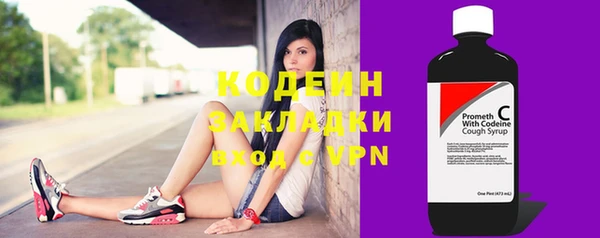прущие грибы Новозыбков