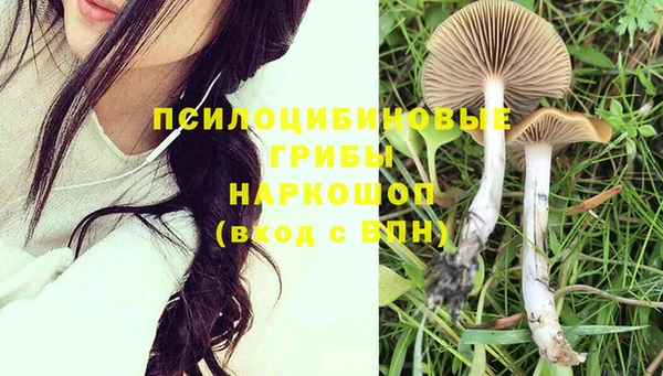 стафф Нязепетровск