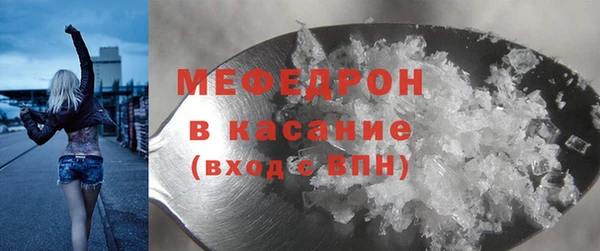 прущие грибы Новозыбков