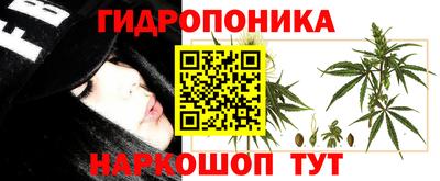 ECSTASY Жуковский
