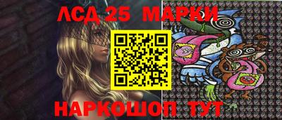 индика Абакан