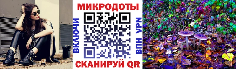 Псилоцибиновые грибы Psilocybe  Красноуфимск 